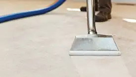 Carpet cleaning wand head gliding over a light carpet during hot-water extraction, Sacramento, CA.